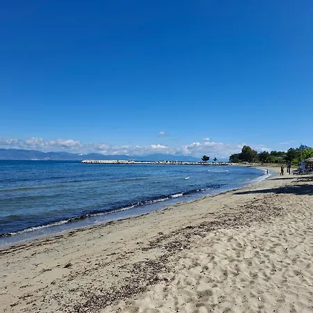 Lazaridi 公寓 Skala Rachoni (Thasos)